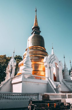 Wat-Suan-Dok 'taki bir grup pagoda. Tayland, Chiang Mai 'deki ünlü tapınak.