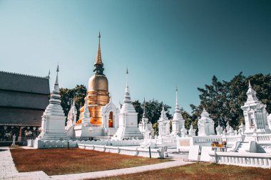 Wat-Suan-Dok 'taki bir grup pagoda. Tayland, Chiang Mai 'deki ünlü tapınak.