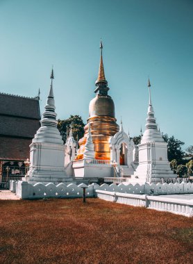 Wat-Suan-Dok 'taki bir grup pagoda. Tayland, Chiang Mai 'deki ünlü tapınak.