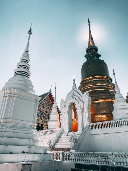 Wat-Suan-Dok 'taki bir grup pagoda. Tayland, Chiang Mai 'deki ünlü tapınak.
