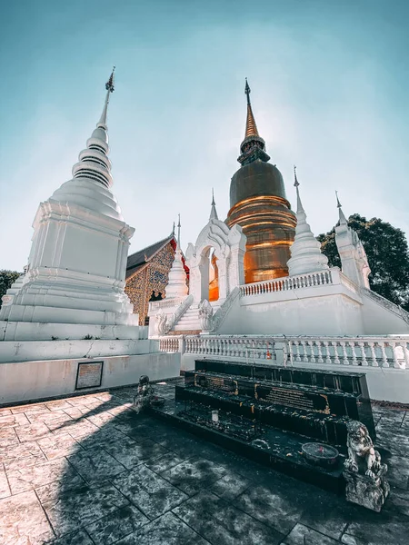 Wat-Suan-Dok 'taki bir grup pagoda. Tayland, Chiang Mai 'deki ünlü tapınak.