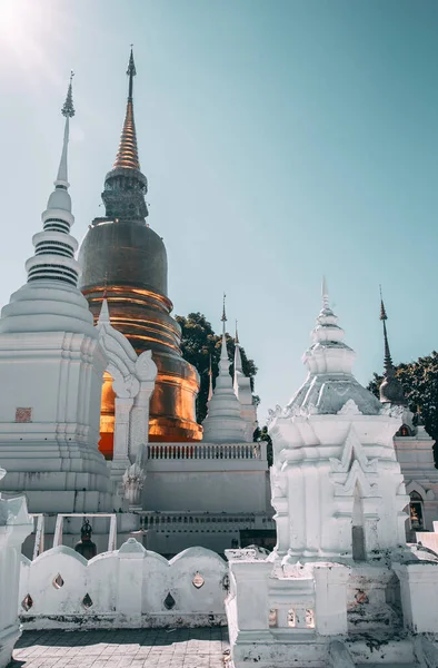 Wat-Suan-Dok 'taki bir grup pagoda. Tayland, Chiang Mai 'deki ünlü tapınak.