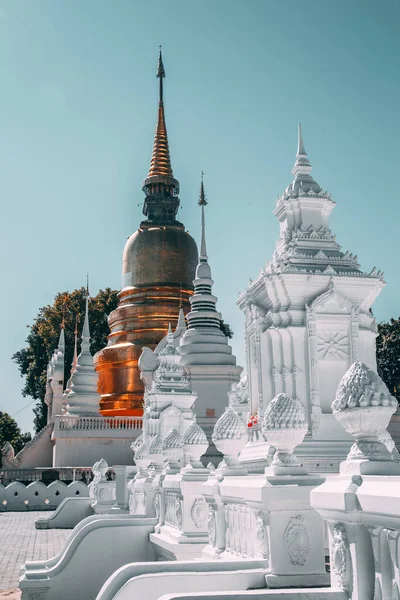 Wat-Suan-Dok 'taki bir grup pagoda. Tayland, Chiang Mai 'deki ünlü tapınak.