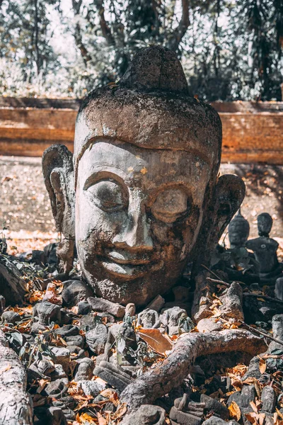 Café 39 cerca de Wat Umong templo subterráneo y túneles en Chiang Mai, Tailandia —  Fotos de Stock