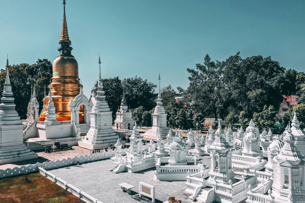 Wat-Suan-Dok 'taki bir grup pagoda. Tayland, Chiang Mai 'deki ünlü tapınak.