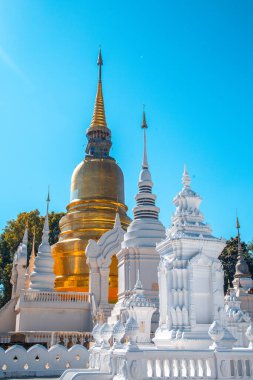 Wat-Suan-Dok 'taki bir grup pagoda. Tayland, Chiang Mai 'deki ünlü tapınak.