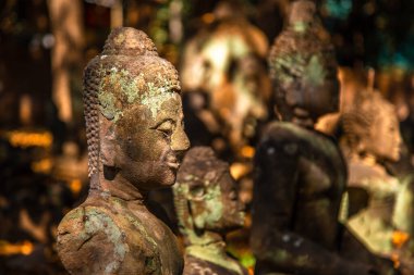 Cafe 39, Wat Umong yeraltı tapınağı ve Chiang Mai, Tayland 'daki tüneller.