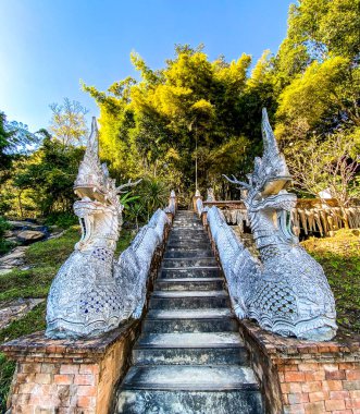 Wat Pha Lat veya Wat Palad, ormandaki eski tapınak, Chiang Mai, Tayland