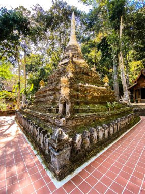 Wat Pha Lat veya Wat Palad, ormandaki eski tapınak, Chiang Mai, Tayland