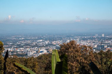 Wat Pha Lat veya Wat Palad, ormandaki eski tapınak, Chiang Mai, Tayland