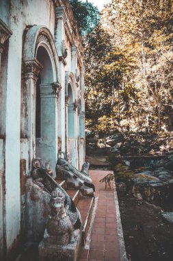 Wat Pha Lat veya Wat Palad, ormandaki eski tapınak, Chiang Mai, Tayland