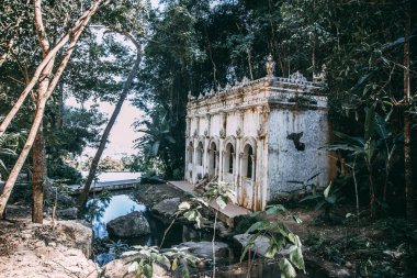 Wat Pha Lat veya Wat Palad, ormandaki eski tapınak, Chiang Mai, Tayland