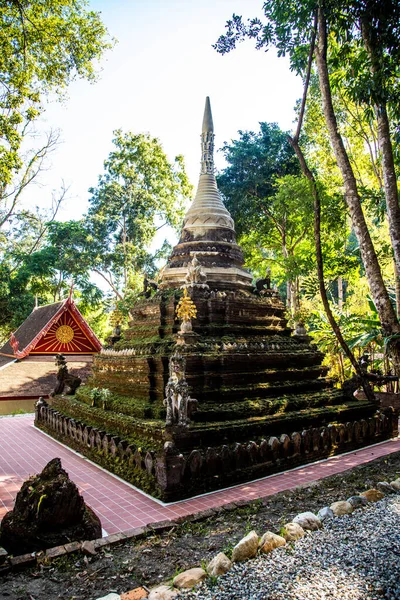 Wat Pha Lat veya Wat Palad, ormandaki eski tapınak, Chiang Mai, Tayland