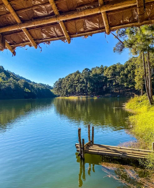 Pang Oung Ulusal Parkı, Tayland Mae Hong Son 'daki çam ağaçları gölü ve ormanı.