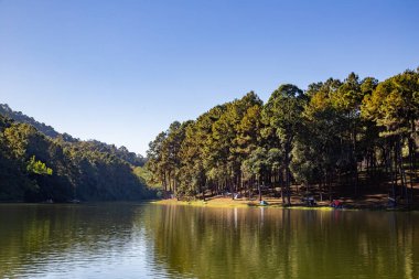 Pang Oung Ulusal Parkı, Tayland Mae Hong Son 'daki çam ağaçları gölü ve ormanı.