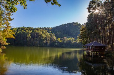 Pang Oung Ulusal Parkı, Tayland Mae Hong Son 'daki çam ağaçları gölü ve ormanı.