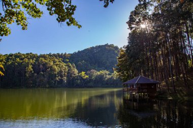 Pang Oung Ulusal Parkı, Tayland Mae Hong Son 'daki çam ağaçları gölü ve ormanı.