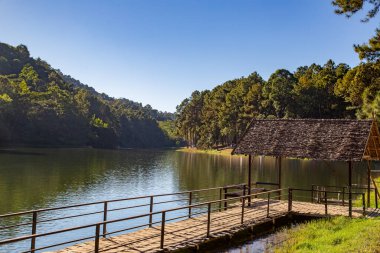 Pang Oung Ulusal Parkı, Tayland Mae Hong Son 'daki çam ağaçları gölü ve ormanı.