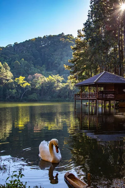 Národní park Pang Oung, jezero a les borovic v Mae Hong Son, Thajsko — Stock fotografie