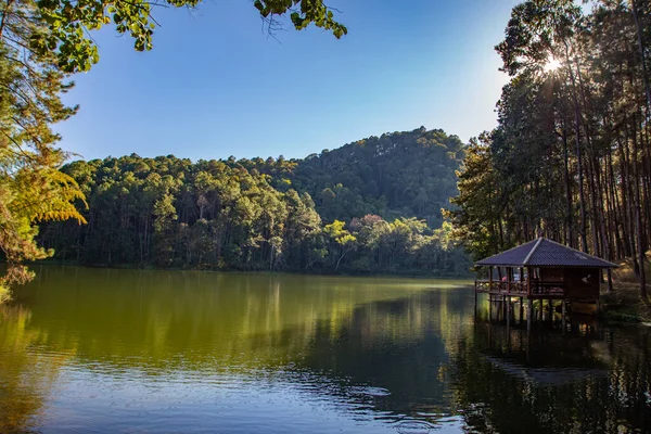Pang Oung Ulusal Parkı, Tayland Mae Hong Son 'daki çam ağaçları gölü ve ormanı.