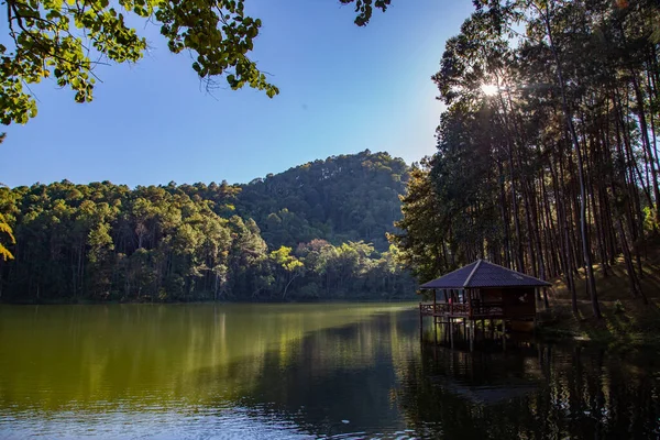 Pang Oung Ulusal Parkı, Tayland Mae Hong Son 'daki çam ağaçları gölü ve ormanı.