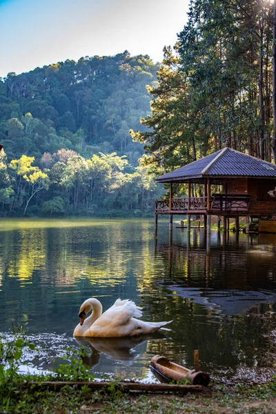 Národní park Pang Oung, jezero a les borovic v Mae Hong Son, Thajsko — Stock fotografie