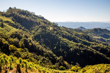 Pha Bong Bakış açısı Mae Hong Son, Tayland