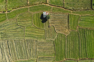 Mae La Noi 'nin Tayland, Mae Hong Son' daki pirinç teraslarının hava manzarası.