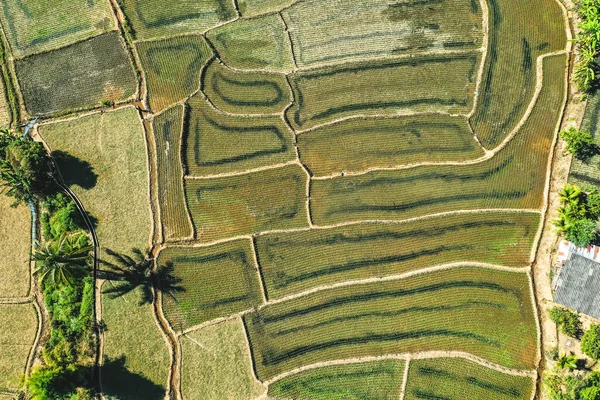 Pemandangan udara teras beras Mae La Noi di Mae Hong Son, Thailand — Stok Foto