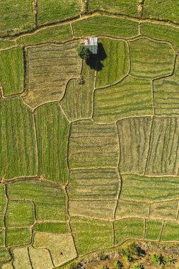 Mae La Noi 'nin Tayland, Mae Hong Son' daki pirinç teraslarının hava manzarası.