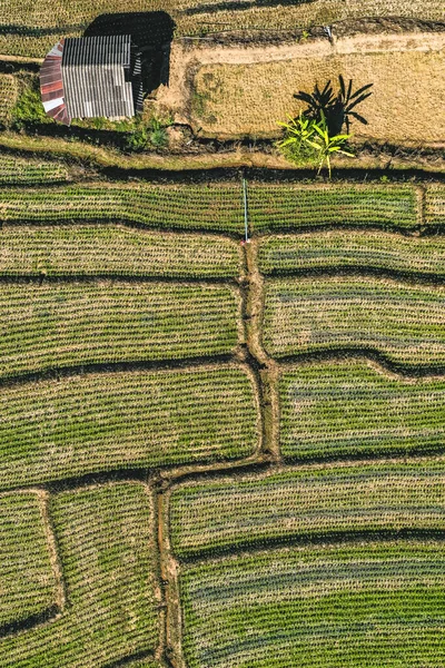 Widok z lotu ptaka tarasy ryżowe Mae La Noi w Mae Hong Son, Tajlandia — Zdjęcie stockowe