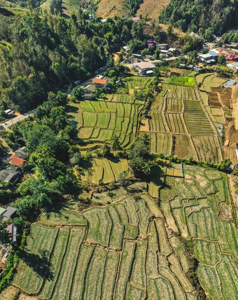 Vista aérea dos terraços de arroz Mae La Noi em Mae Hong Son, Tailândia — Fotografia de Stock