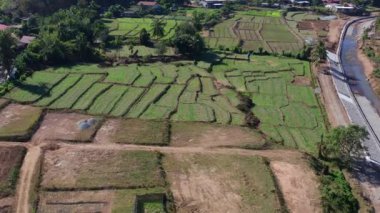 Mae La Noi 'nin Tayland, Mae Hong Son' daki pirinç teraslarının hava manzarası.