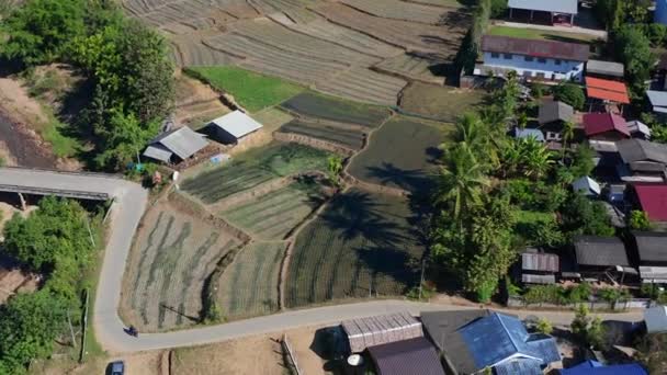 Vista aérea dos terraços de arroz Mae La Noi em Mae Hong Son, Tailândia — Vídeo de Stock