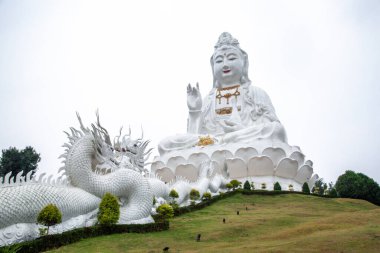 Beyaz Buda Wat Huay Pla Kang Tapınağı, Chiang Rai, Tayland