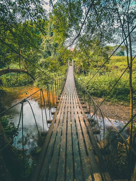 Hobbit house in the forest of Chiang Mai, Thailand — ストック写真