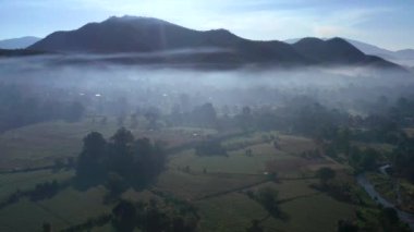 Güneş doğarken Mae Hong Son, Tayland 'da Pai pirinç tarlalarının sisli görüntüsü.