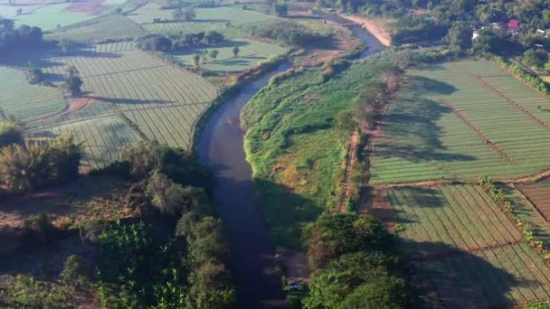 Letecký pohled na rýžová pole Pai při východu slunce s mlhou v Mae Hong Son, Thajsko — Stock video