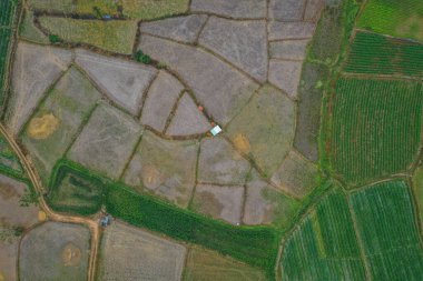 Nan eyaletindeki Wat Phuket tapınağı, Tayland