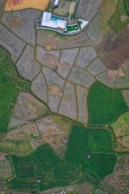 Nan eyaletindeki Wat Phuket tapınağı, Tayland