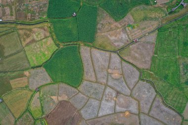 Nan eyaletindeki Wat Phuket tapınağı, Tayland