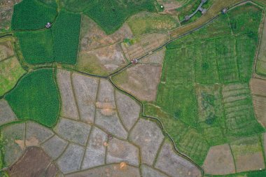 Nan eyaletindeki Wat Phuket tapınağı, Tayland