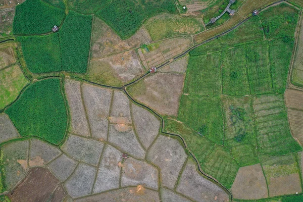 Nan eyaletindeki Wat Phuket tapınağı, Tayland