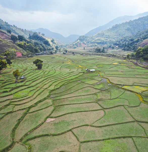 Wat Ban Wen rice fields in Nan province, Thailand — Stock Photo, Image