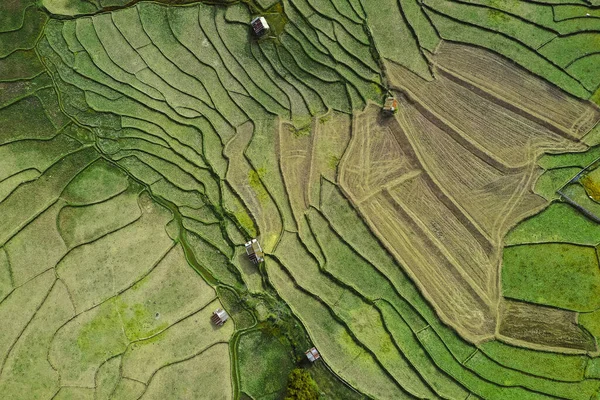 Nan, Tayland 'da Wat Ban Wen pirinç tarlaları