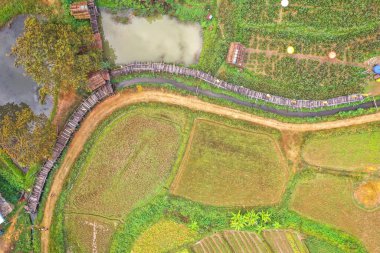 Pua 'nın ve Tayland' ın Nan ilindeki pirinç tarlalarının havadan görüntüsü.