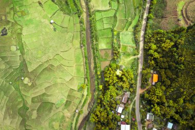Wat Ban Wen pirinç tarlaları Nan, Tayland, Güneydoğu Asya
