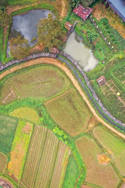 Aerial Views Pua Rice Fields Nan Province Thailand South East — Stok Foto
