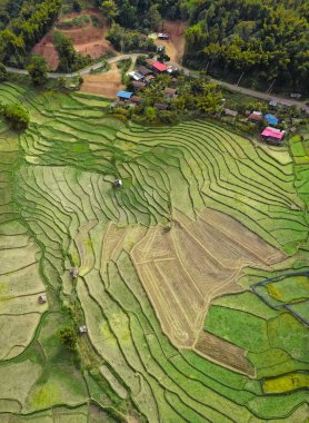 Wat Ban Wen pirinç tarlaları Nan, Tayland, Güneydoğu Asya