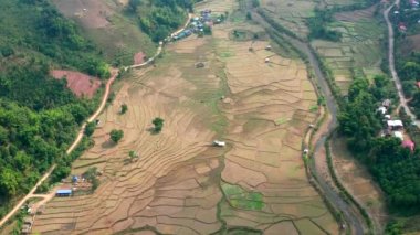 Wat Ban Wen rice fields in Nan province, Thailand